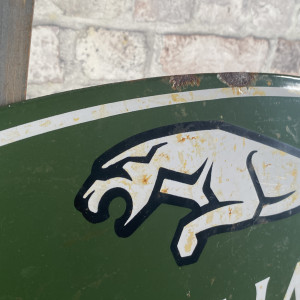 Jaguar No. 9