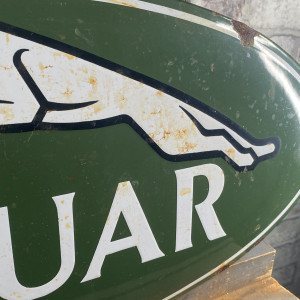 Jaguar No. 9