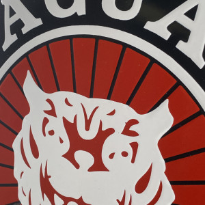 Jaguar No. 15