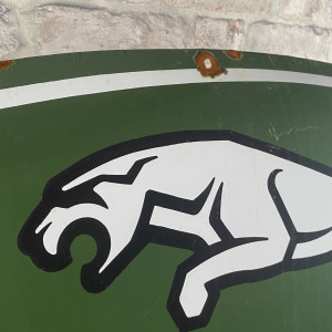 Jaguar No. 4