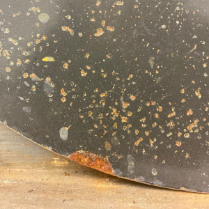 Shell No. 19