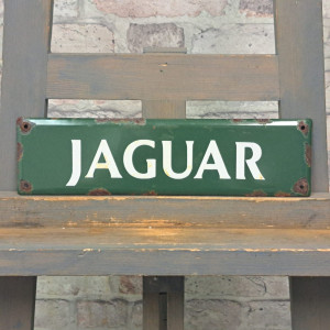 Jaguar No. 8
