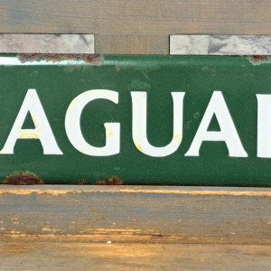 Jaguar No. 8